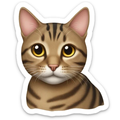 tabby cat sticker