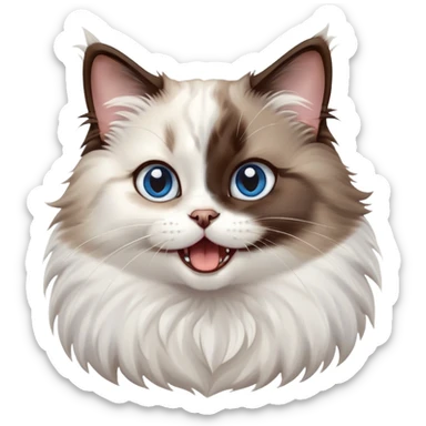 cinematic-adorable-big-eyed-fluffy-dark brown and white ragdoll-cat-portrait-emoji,-head-tilted-playfully-with-a-cute,-yawn,-soft-brown-and white-colored-fur-with-darker-points-on-the-ears,-simplified-yet-irresistibly-cute-features, sparkling blue eyes sticker