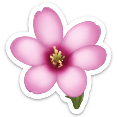 Bloom sticker