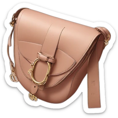 dior  saddle bag sticker