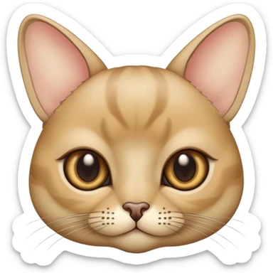 Кошка британская золотая шиншилла с большими глазами  sticker