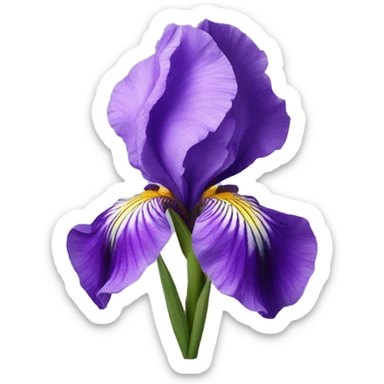 Violet iris flower sticker