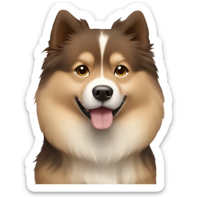 Finnish Lapphund Brown and light brown standing up. On his face are darker brown spots sticker