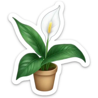 peace lily sticker