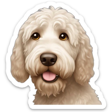 Labradoodle white with brown nose sticker