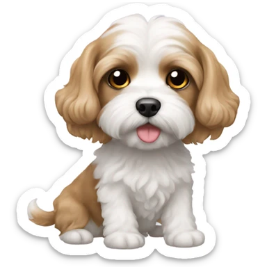 Cavachon  sticker