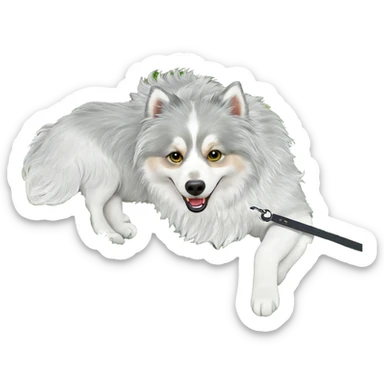 dog lying in clover patch sticker