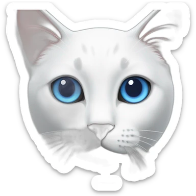 white cat with a blue spot on the left eye and a blue left ear sticker