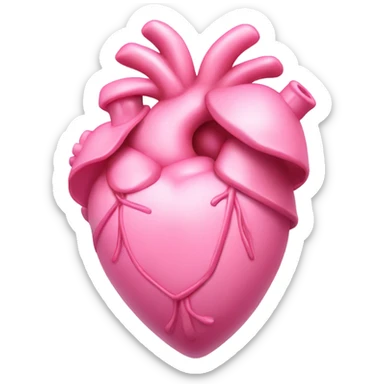 Pink anatomical heart pastel pink with pink bow on top sticker