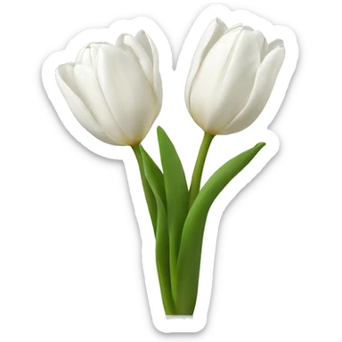 white tulips sticker