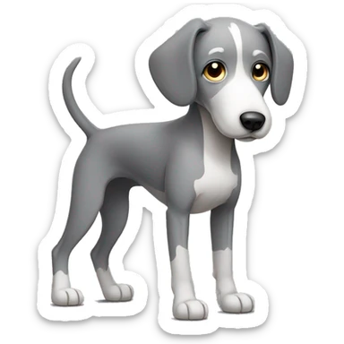 Grey skinny dog with white patch on chest sticker