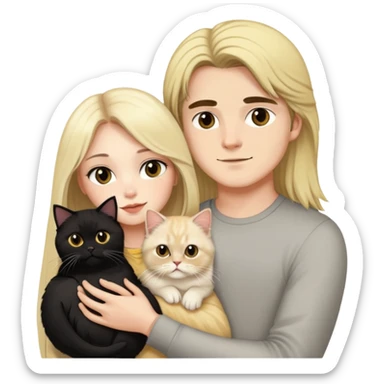 pretty girl with long dark hair holding a blonde persian cat beside her boyfriend holding a small black cat sticker