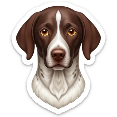 Cinematic Noble German Pointer Portrait Emoji, Poised and regal, with a lean, athletic build and a sleek, short coat in liver and white, deep-set soulful brown eyes, Simplified yet sharp and sophisticated features, highly detailed, glowing with a soft, dignified glow, high shine, intelligent and driven, stylized with an air of determination, focused and attentive, soft glowing outline, capturing the essence of a watchful and commanding hunter, so majestic it feels as though it could sprint out of the screen with effortless authority! sticker