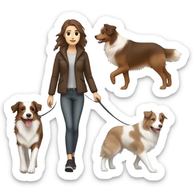 white girl with brown hair walking brown beige and white australian shepherd dog sticker