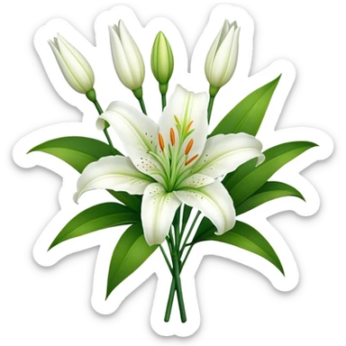 bouquet White Lily, luxuriant, stem, leaf, bud sticker