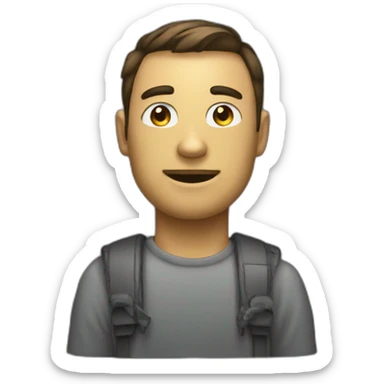 :web developper sticker