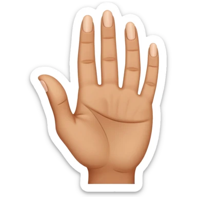 The Moroccan middle finger. It’s the palm of your hand pointing towards me but the middle finger pointing at me and the others sraaight with the hand  sticker