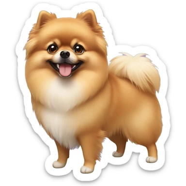 Pomeranian sticker