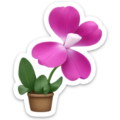 cyclamen flowrer sticker