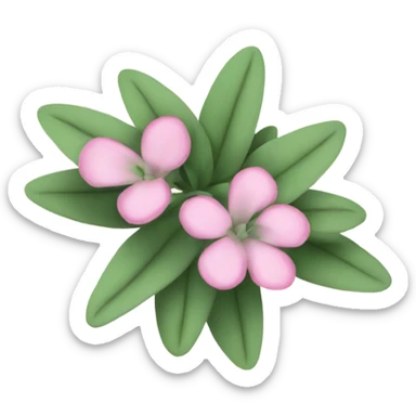 Pink sage plant sticker