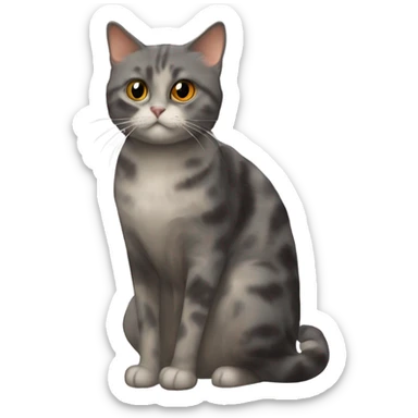 short hair tortoiseshell cat with a long hair grey cat ￼ sticker