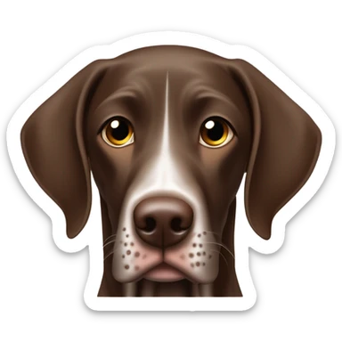Brown German Shorthair Pointer  sticker