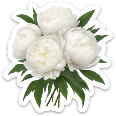 White peonies bouquet  sticker