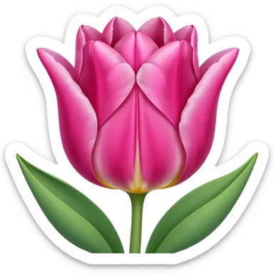 Pink tulip sticker
