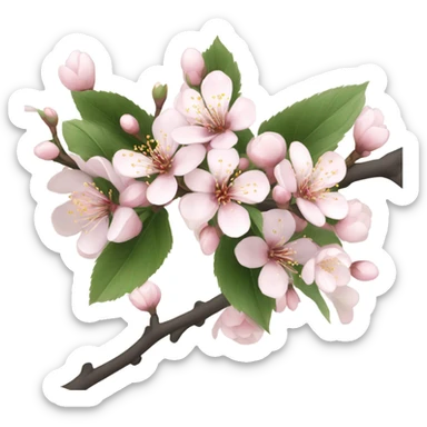 plum blossom  sticker