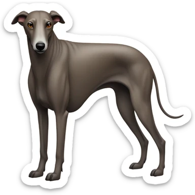 Greyhound and bison  sticker