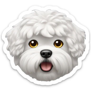 An angry looking bichon face sticker