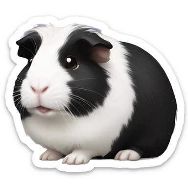Black with white guinea pig sticker