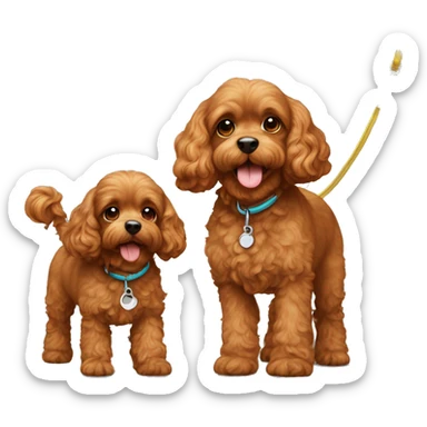 Two cute brown cavapoos walking on leash sticker