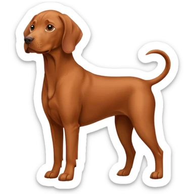 a vizsla dog
 sticker