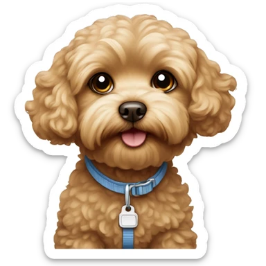 Brown Maltipoo ready for a walk with blonde girl sticker