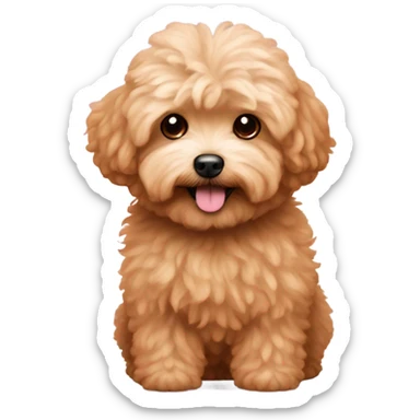 Shaggy light slightly red maltipoo sticker