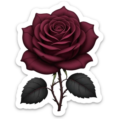 black rose, without green leaves, just flower sticker