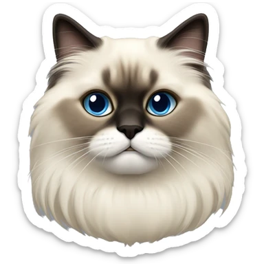 a himalayan birman cat sticker