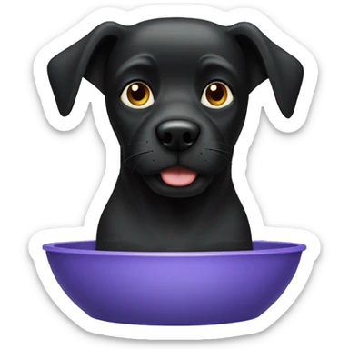 black dog water bowl sticker
