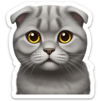 Gray Scottish fold sticker