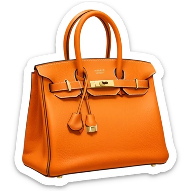 make me a hermes rare birkin bag  sticker