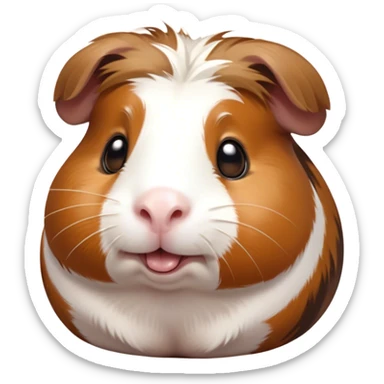Cinematic Comical Brown and White Banded Guinea Pig Portrait Emoji, Head tilted dramatically with an exaggeratedly amused expression, featuring a striking fur with bold brown and white banding, wide, expressive dark eyes filled with playful disbelief, Simplified yet hilariously expressive features, highly detailed, glowing with a slightly sassy glow, high shine, dramatic yet playful, stylized with an air of cheeky mischief, bright and endearing, soft glowing outline, capturing the essence of a spirited and over-the-top guinea pig, so meme-worthy it feels like it could side-eye its way into internet fame instantly! sticker