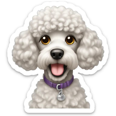 Poodle sticker