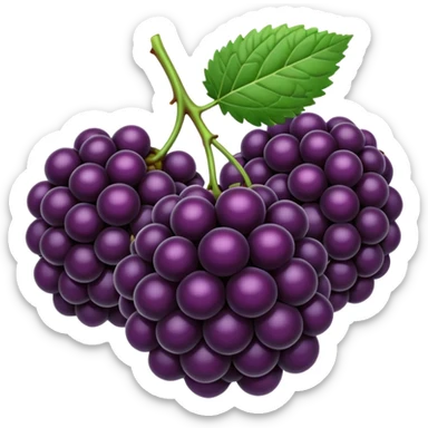 blackberryies sticker