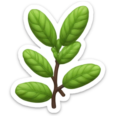 Wild licorice Glycyrrhiza lepidota sticker