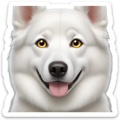 white husky dog with heterochromia  sticker