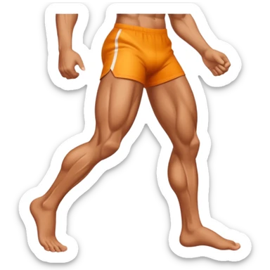 leg muscles sticker