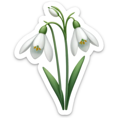 snowdrop flower sticker