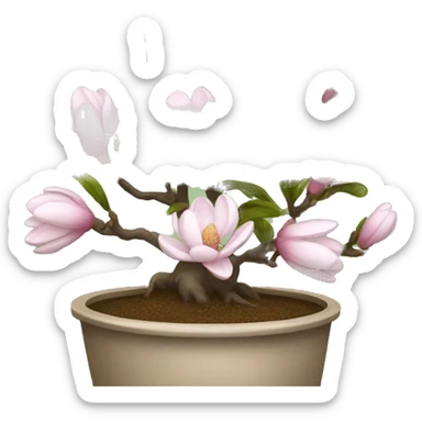 Pot magnolia sticker