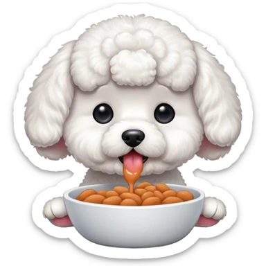 Bichon eating sticker
